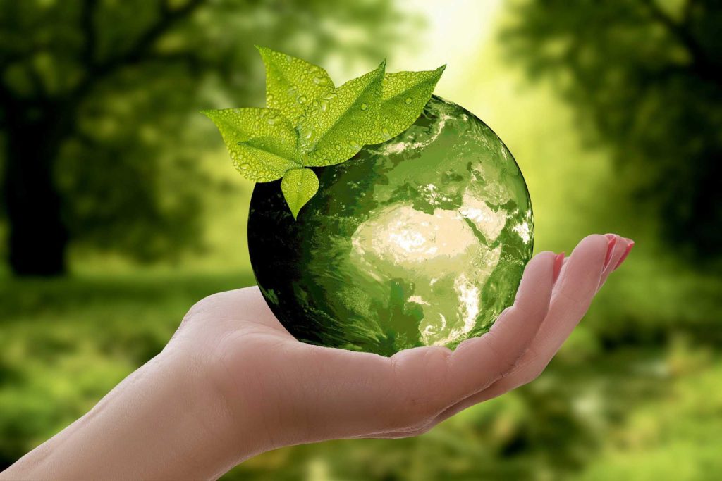 Nachhaltigkeit und Umwelt
